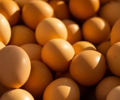 Kementan meminta program MBG memperbanyak menu telur untuk membantu menyerap produksi peternak dan menjaga stabilitas harga telur ayam.