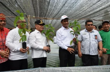 Banjir yang melanda Aceh, Sumatra Utara, dan Sumatera Barat menyebabkan lebih dari 27.000 hektar sawah terendam, bahkan sebagian mengalami puso.