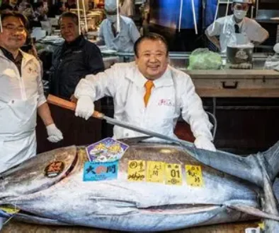 Rekor Lelang Tuna Jepang, Terjual Rp 54 Miliar