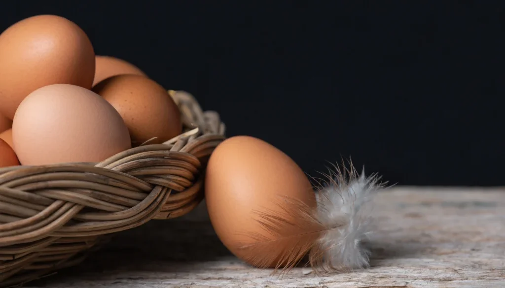 Respon Mentan Amran soal Saudi Berhenti Impor Unggas & Telur RI