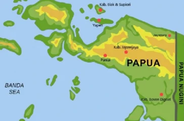 Freeport Setor Rp75 Triliun ke Negara, Papua Kebagian Triliunan Rupiah