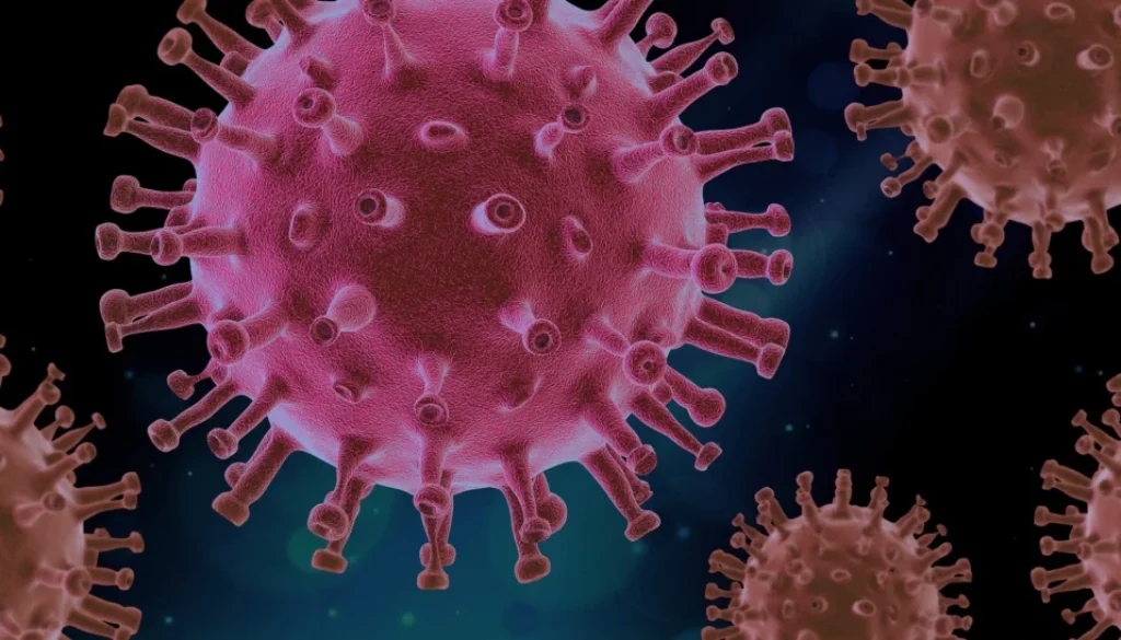 Kemenkes Catat 23 Kasus Hantavirus di RI, Ini Gejala yang Perlu Diwaspadai