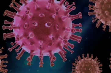 Kemenkes Catat 23 Kasus Hantavirus di RI, Ini Gejala yang Perlu Diwaspadai