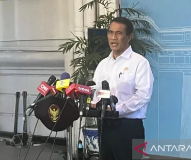Amran Blokir Investasi Ayam Baru, Investor China Disorot
