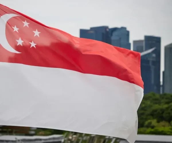 Singapura Respons Tawaran Ekspor 10.000 Ton Beras RI