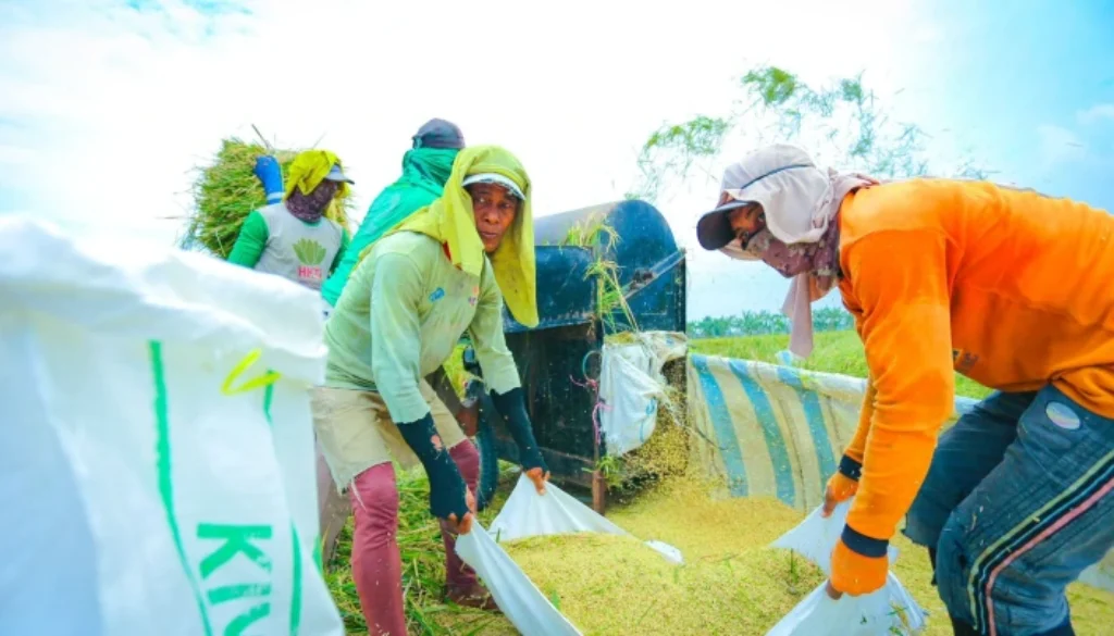 Bantuan Beras Rp100 Miliar Disalurkan untuk Korban Gempa NTT