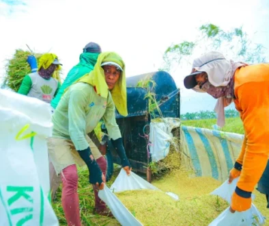 Bantuan Beras Rp100 Miliar Disalurkan untuk Korban Gempa NTT