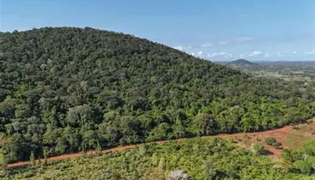 AS dan China Berebut Mineral Tanah Jarang di Kenya