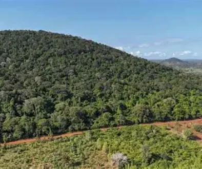 AS dan China Berebut Mineral Tanah Jarang di Kenya