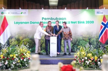Indonesia-Norwegia Buka Dana FOLU Rp20 Miliar, Ini Sasarannya